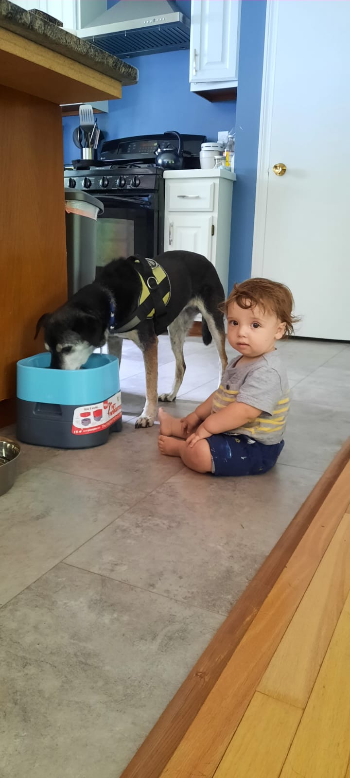 Journal Entry 8/15/22